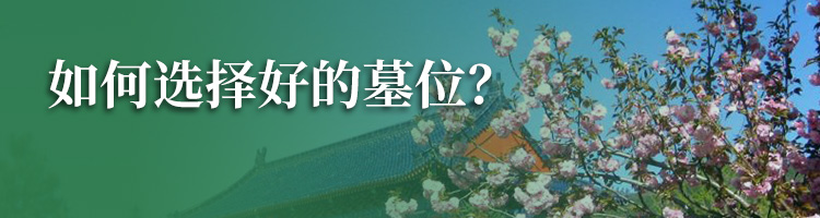 天山陵园